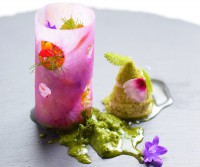 /album/daniela-cicioni/dsc-0886-3-jpg1/